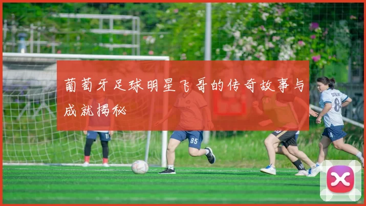 葡萄牙足球明星飞哥的传奇故事与成就揭秘