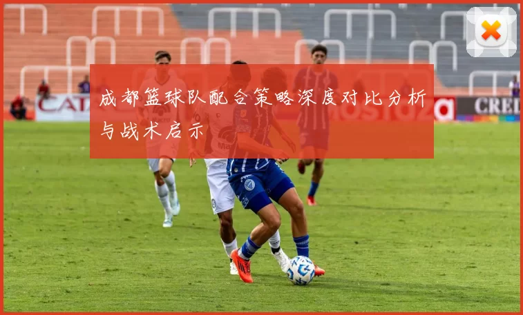 成都篮球队配合策略深度对比分析与战术启示