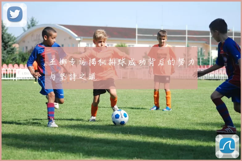 王娜专访揭秘排球成功背后的努力与坚持之道