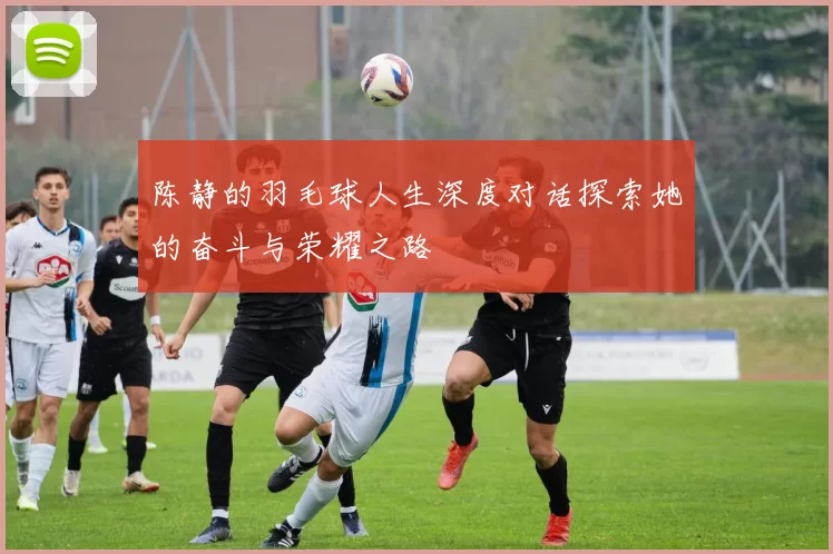 陈静的羽毛球人生深度对话探索她的奋斗与荣耀之路