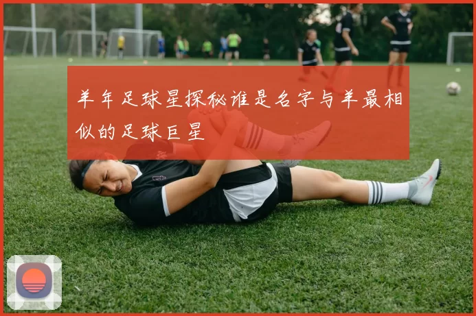 羊年足球星探秘谁是名字与羊最相似的足球巨星