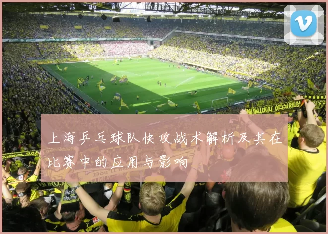 上海乒乓球队快攻战术解析及其在比赛中的应用与影响