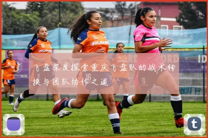 飞盘深度探索重庆飞盘队的战术转换与团队协作之道