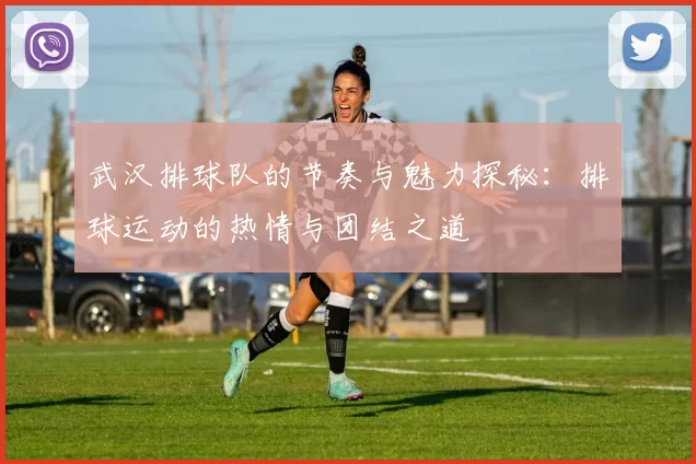 武汉排球队的节奏与魅力探秘：排球运动的热情与团结之道