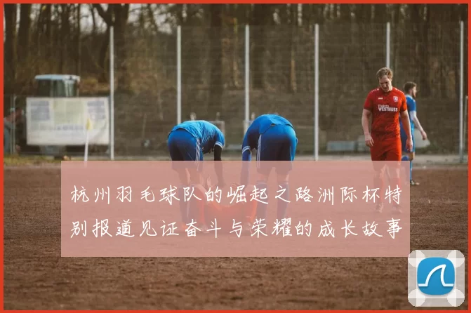 杭州羽毛球队的崛起之路洲际杯特别报道见证奋斗与荣耀的成长故事