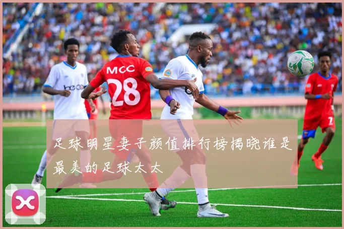 足球明星妻子颜值排行榜揭晓谁是最美的足球太太