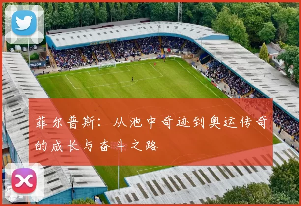 菲尔普斯：从池中奇迹到奥运传奇的成长与奋斗之路