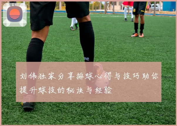 刘伟独家分享排球心得与技巧助你提升球技的秘诀与经验