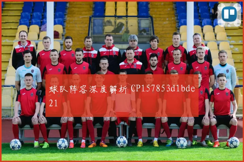 球队阵容深度解析 CP157853d1bde21