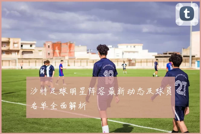 沙特足球明星阵容最新动态及球员名单全面解析