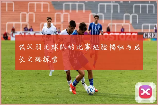 武汉羽毛球队的比赛经验揭秘与成长之路探索