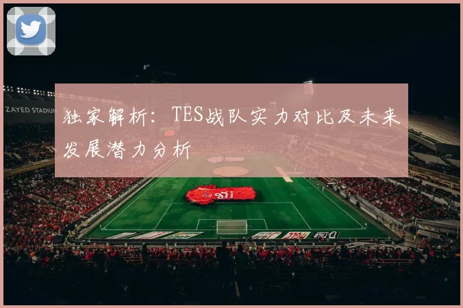 独家解析：TES战队实力对比及未来发展潜力分析