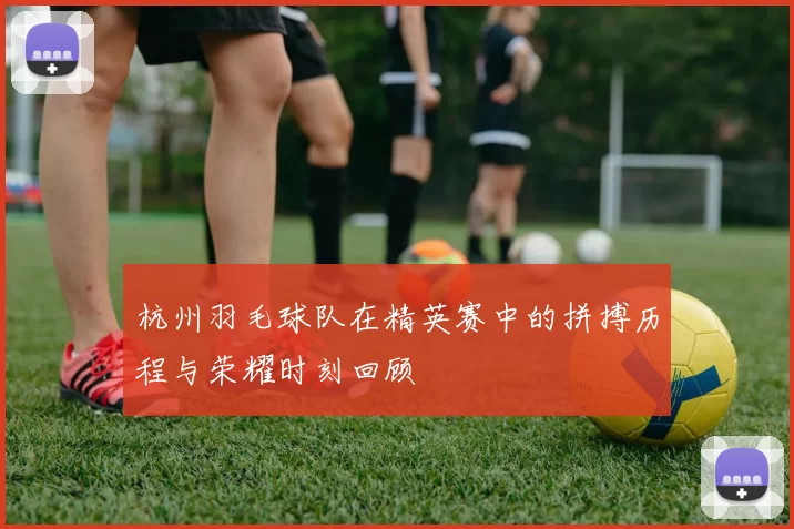 杭州羽毛球队在精英赛中的拼搏历程与荣耀时刻回顾