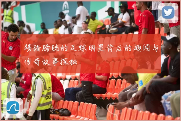 踢猪膀胱的足球明星背后的趣闻与传奇故事探秘
