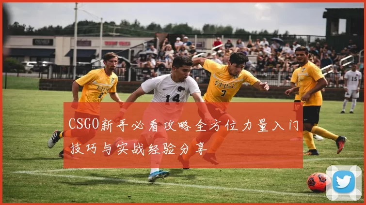 CSGO新手必看攻略全方位力量入门技巧与实战经验分享