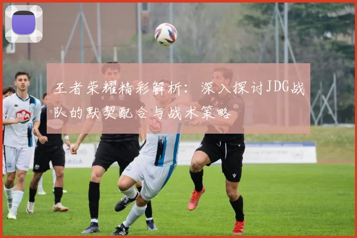 王者荣耀精彩解析：深入探讨JDG战队的默契配合与战术策略