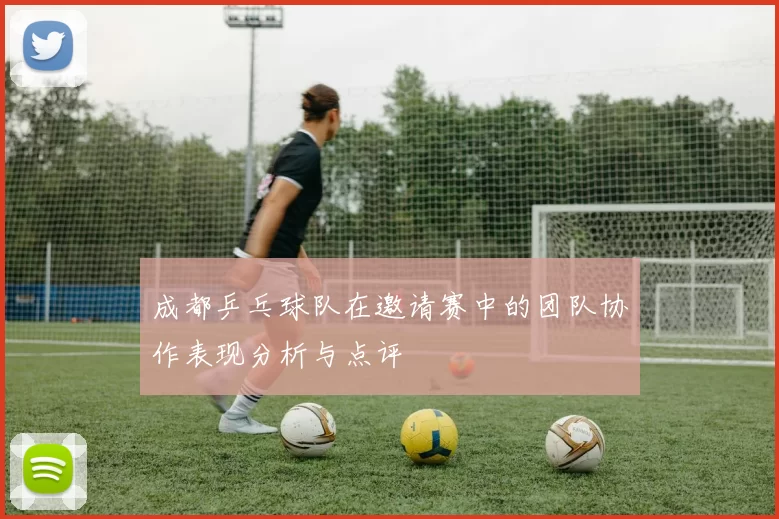 成都乒乓球队在邀请赛中的团队协作表现分析与点评