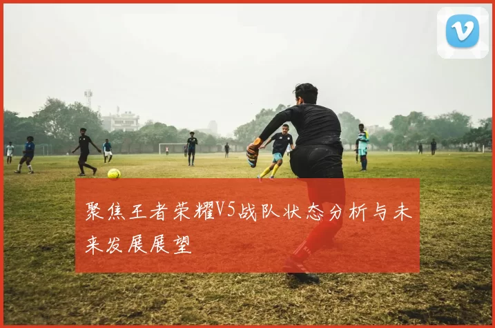 聚焦王者荣耀V5战队状态分析与未来发展展望