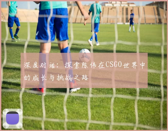 深度对话：探索陈伟在CSGO世界中的成长与挑战之路