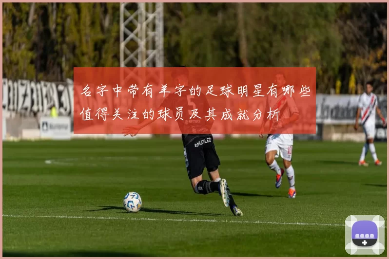 名字中带有羊字的足球明星有哪些值得关注的球员及其成就分析