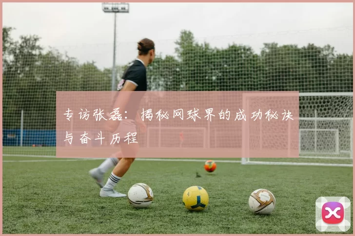 专访张磊：揭秘网球界的成功秘诀与奋斗历程